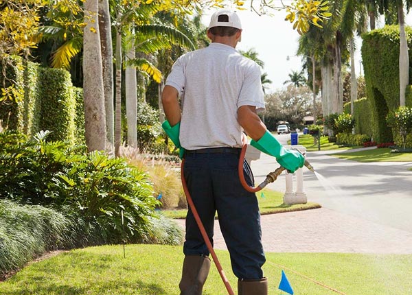 About Eagle Point OR Pest Control Pros